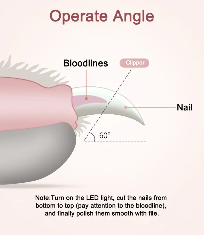 Diagram showing the correct form for clipping a pet's nail with labels for 'Bloodlines', 'Nail', and 'Clipper'.